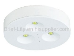 LED cabinet light