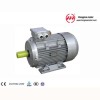 HM1 series high efficiency motor