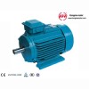 NEMA series Three Phase Induction Motor