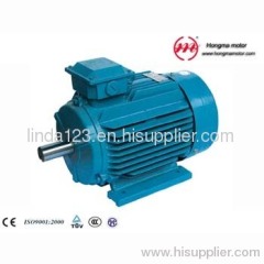 NEMA series Three Phase Induction Motor