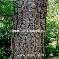Pine Bark Extract Powder