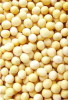 Soybean Extract Powder