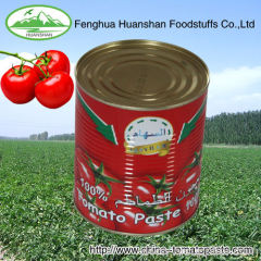 210g*48tins tinned food tomato paste