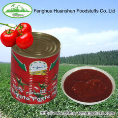 Fresh concentration tomato paste