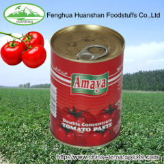 canned excellent quality Tomato paste