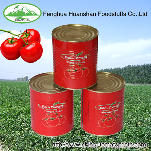 TOMATO PASTE 28-30% COLD BREAK good taste canned tomato past