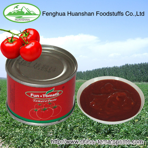 100% natural canned tomato paste 198G*48tins