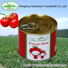 70g*50tins canned tomato paste puree