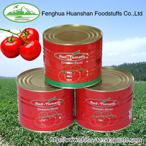 canned 100% pure tomato paste