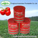 Fresh Canned Tomato Paste With Brix 28-30%