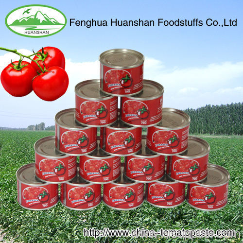 Canned 100% pure aseptic tomato paste