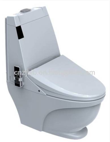 Intelligent cleaning INTELLIGENT & ELECTRONIC COMPLETE TOILET