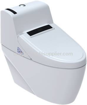 Anti-bacteria INTELLIGENT TOILET