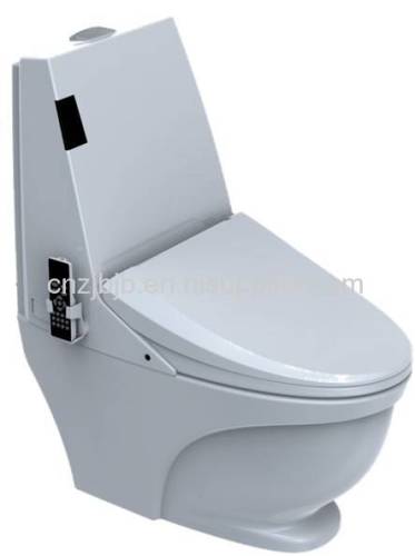 Intelligent cleaning INTELLIGENT & ELECTRONIC COMPLETE TOILET