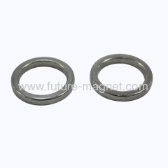 High-Performance Ring NdFeB Magnet