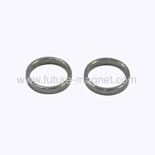 Loop neodymium strong NdFeB Ring Magnets