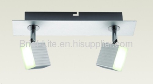 2x3w LED ceiling light