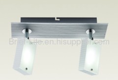 2X5W LED celing led light