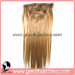 Clip in Hair Extension (GH-CH010)