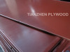 RED FILM FACED PLYWOOD / SKYPE: lyt571