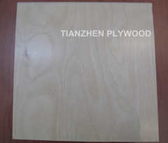 Birch Poplar Plywood