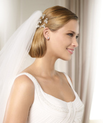 Royal Lace Bridal Gown