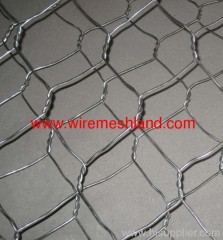 hexagoanal wire netting