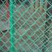 chain link fences