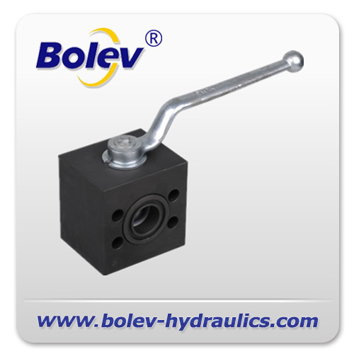 BEH SAE hydraulic direct mount SAE flange valves