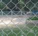 Stainless Steel Chain Link Fence