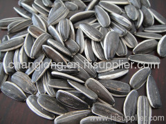 long sunflower seeds 5009