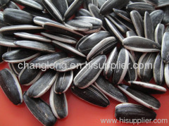 cnfectionary sunflower seeds