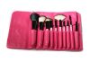 10pcs Pink Cosmetic Brush Set with Pink PU Pouch