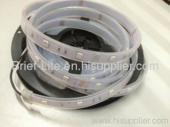 Water proof IP65 LED strip 5050 60LED/M