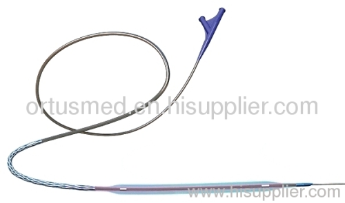 PTA Balloon Catheter