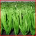 artificial turf manufacturers