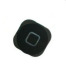 ipod touch 5th gen home button