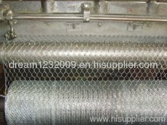 Chicken wire mesh galvanized