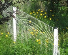 Garden Fence