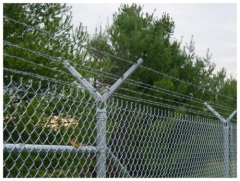 Chain Link Fence