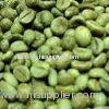 Green coffee extract