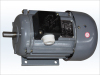 Customize Industrial Electric Standard Motor 90-1100W