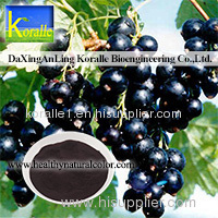 Black Currant extract