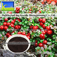 Sell Lingonberry Extract(5%-70% Anthocyanin)