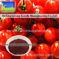 Sell Tomato Color(Lycopene 5%-80%)