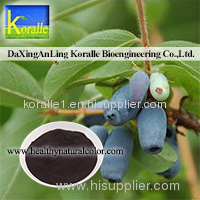 Sweetberry Extract (Anthocyanin 5%-70%)