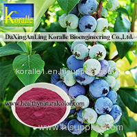 Blueberry Extract Powder(Ratio Extract Powder)