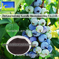 Blueberry Extract(Anthocyanin 5%-70%)