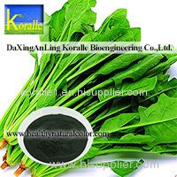 Sodium Copper Chlorophyllin 99%