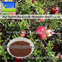 Cranberry Extract (Anthocyanin;Oligomeric Proantho Cyanidins)